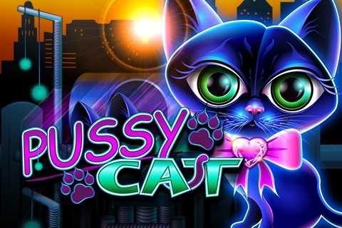 00936 pussy cat