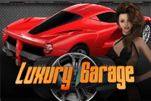11943 luxury garage